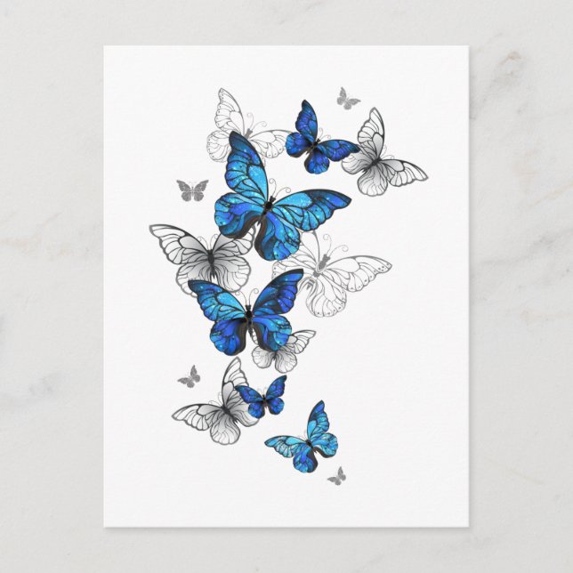 Postal De Invitación Morfo de las mariposas voladoras azules