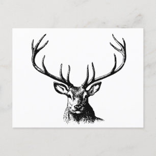 Postal De Invitación Naturaleza de las Antillas Animales de Cerveza Cab