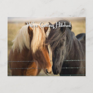Postal De Invitación Nos están dando un golpe (dos caballos)