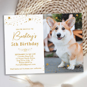 Postal De Invitación Oro Stars Mascota personalizado Foto de perro Cump