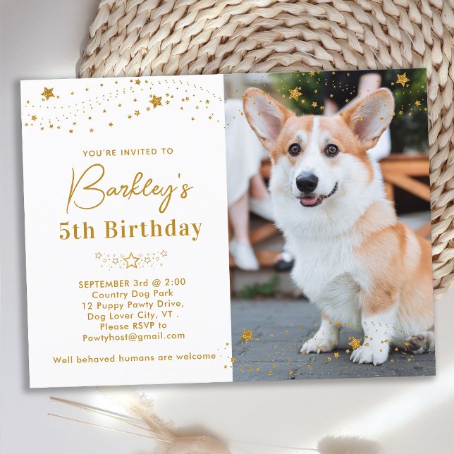 Postal De Invitación Oro Stars Mascota personalizado Foto de perro Cump (Subido por el creador)