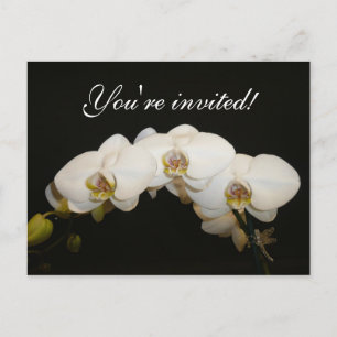 Postal De Invitación Orquídeas Blancas