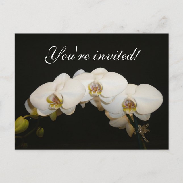 Postal De Invitación Orquídeas Blancas (Anverso)