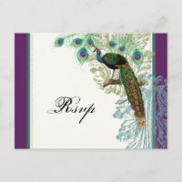 Peacock de época, plumas - Postcarta de respuesta 