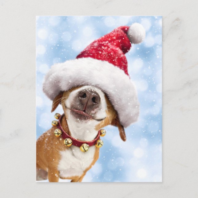Postal De Invitación Perro con gorro de Papá Noel (Anverso)