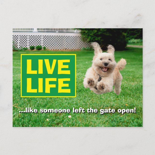 Postal De Invitación Perro corriendo en el jardín (Anverso)