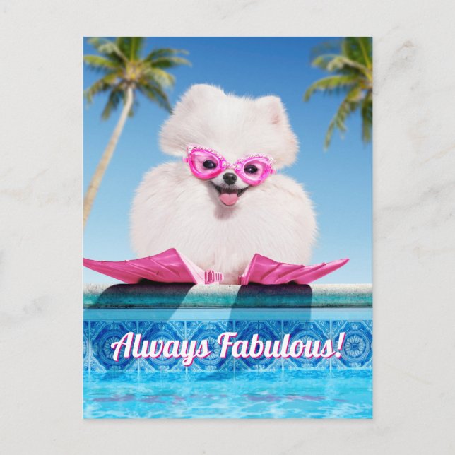 Postal De Invitación Perro De La Piscina En Los Flippers (Anverso)