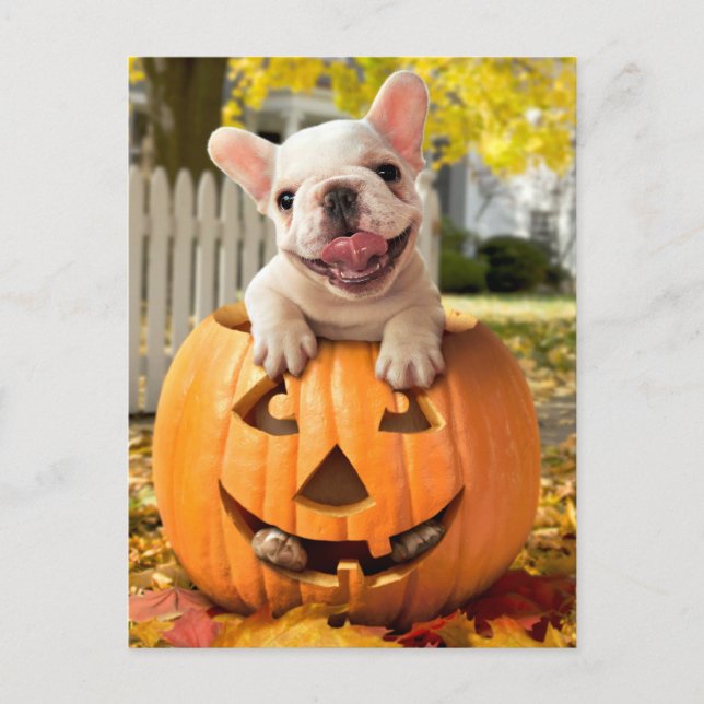 Postal De Invitación Perro en Jack-o-Lantern (Anverso)
