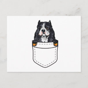 Postal De Invitación Perro Pocket Bully