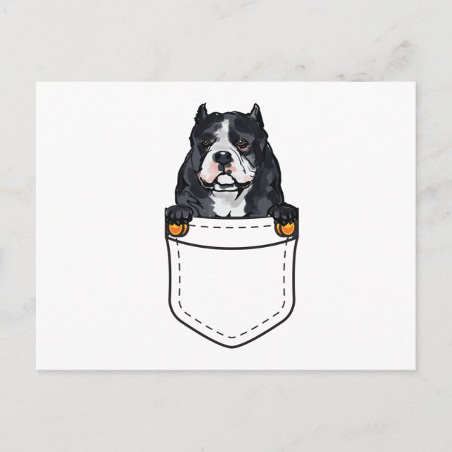 Postal De Invitación Perro Pocket Bully (Anverso)