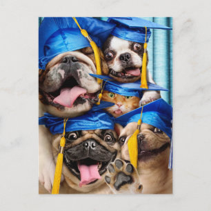 Postal De Invitación Perros y gatos graduados en cabina de fotos