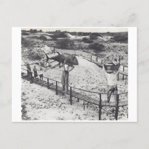 Postal De Invitación Pescado grande: