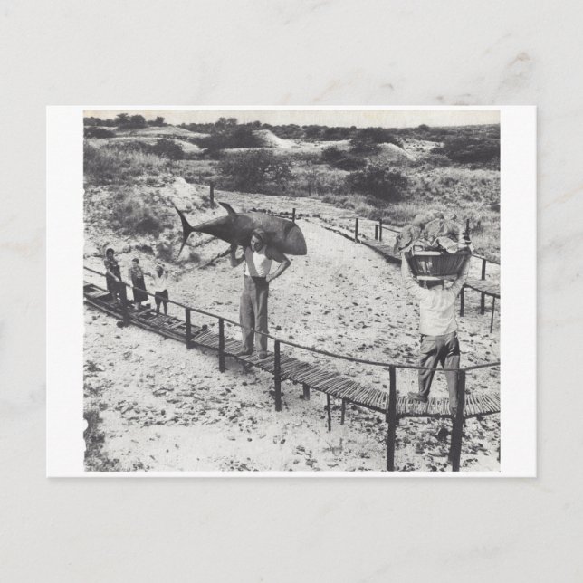 Postal De Invitación Pescado grande: (Anverso)