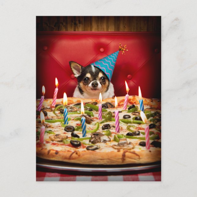 Postal De Invitación Pie de pizza de cumpleaños de Chihuahua (Anverso)
