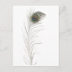 Postal De Invitación Pluma de pavo real