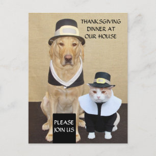 Postal De Invitación Postal/invitación de la acción de gracias