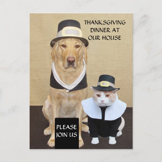 Postal De Invitación Postales/invitaciones de Acción de Gracias (Anverso)