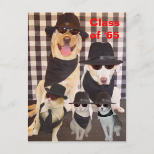 Postal De Invitación Postales/invitaciones de Reunión de Clase