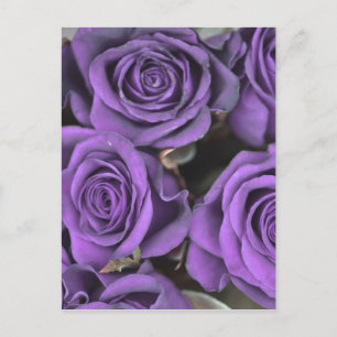 Postal De Invitación ramo rosa rosas púrpura fecha rsvp destino nupcial