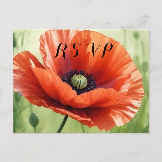 Postal De Invitación Red Poppy RSVP Postcard (Anverso)