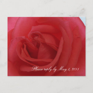 Postal De Invitación Red Rose RSVP