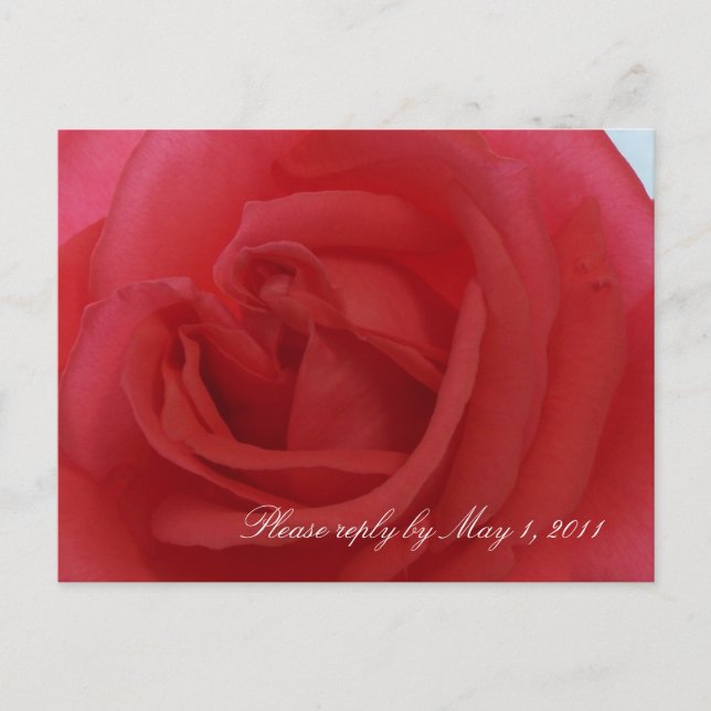 Postal De Invitación Red Rose RSVP (Anverso)