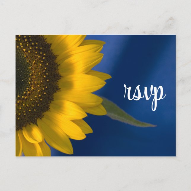 Postal De Invitación Respuesta RSVP de girasol en la boda azul (Anverso)