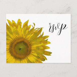 Postal De Invitación Respuesta RSVP de la boda del girasol amarillo