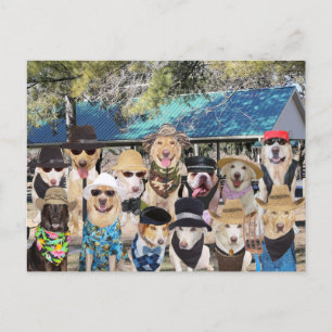 Postal De Invitación Reunión familiar divertida