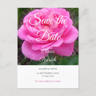 Postal De Invitación Romántica Rosa Rosa Boda Guardar la Fecha 