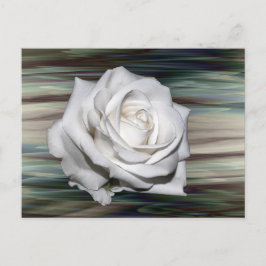 Postal De Invitación Romántico Safari Floral Invitado Bridal Ducha Dest