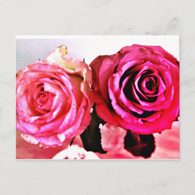 Postal De Invitación Rosas en auge (Anverso)