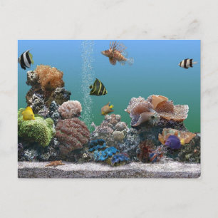 Postal De Invitación rsvp del acuario
