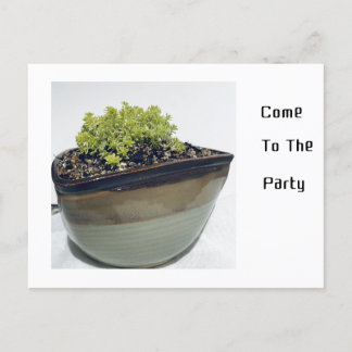 Postal De Invitación Sedum en una olla triangular