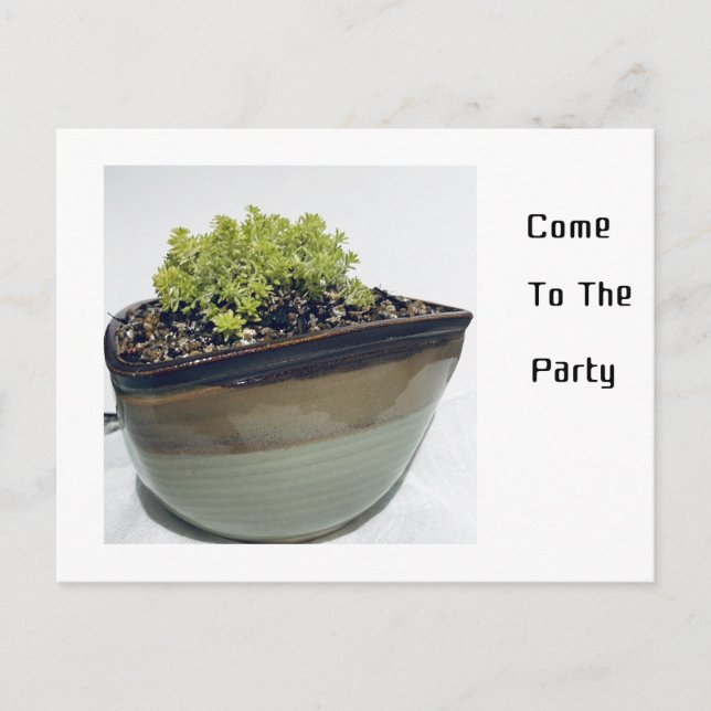 Postal De Invitación Sedum en una olla triangular (Anverso)