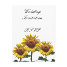 Sunflowers Bodas baratos paquetes Juegos Kits