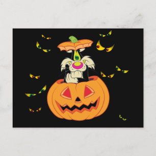 Postal De Invitación SYLVESTER™ escondido en una calabaza de Halloween