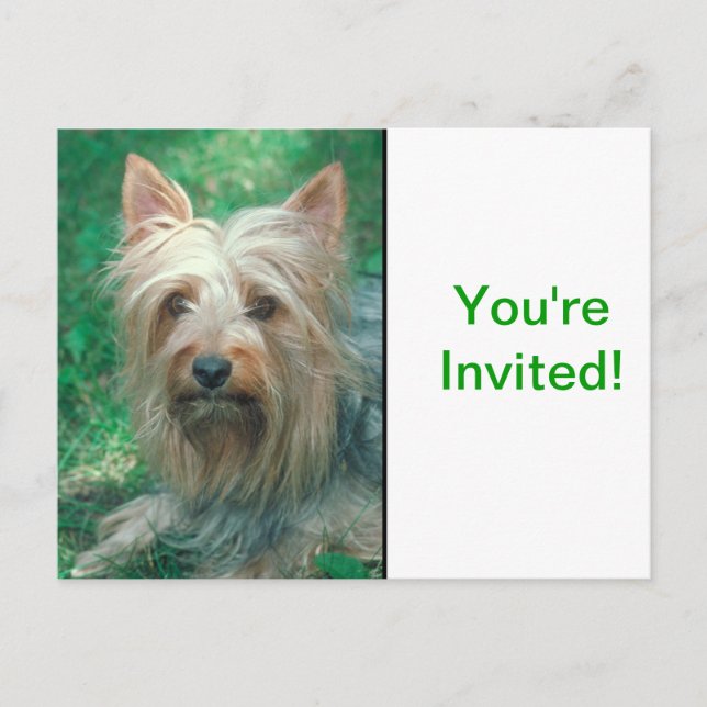 Postal De Invitación Terrier australiano (Anverso)