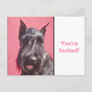 Postal De Invitación Terrier escocés