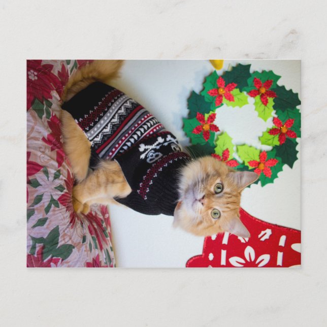 Postal De Invitación Tío de Maine I (Anverso)