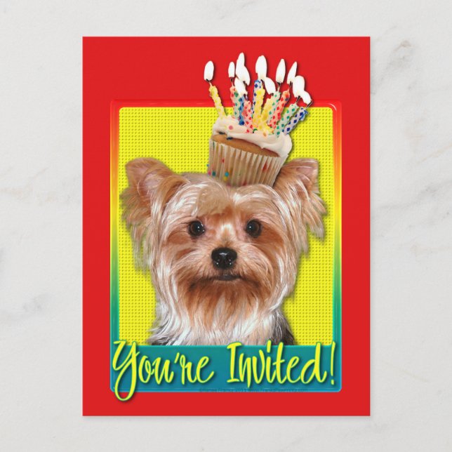 Postal De Invitación Torta de invitado - Yorkshire Terrier (Anverso)