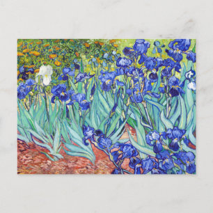 Postal De Invitación Vincent Van Gogh pintando Irises
