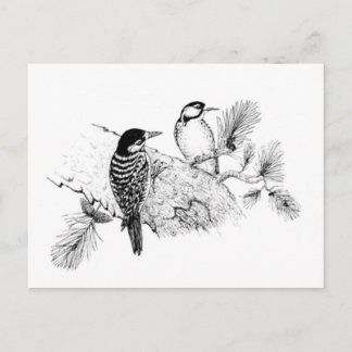 Postal De Invitación Vintage Love Birds Wedds Save the Date