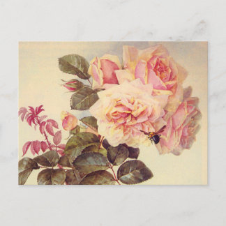 Postal De Invitación Vintage Rosas Bridal Shower