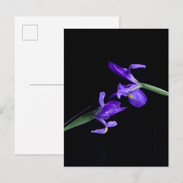 Postal de Iris Lovers (Anverso / Reverso)