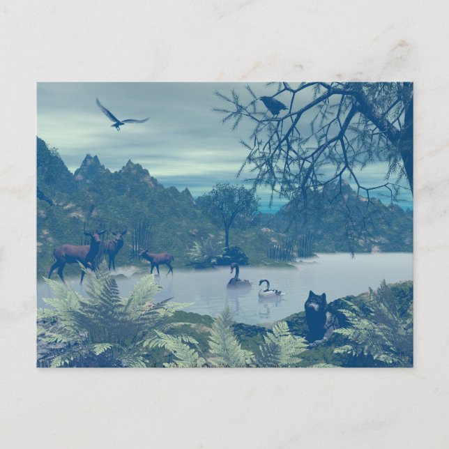 Postal de irrupción de la naturaleza (Anverso)