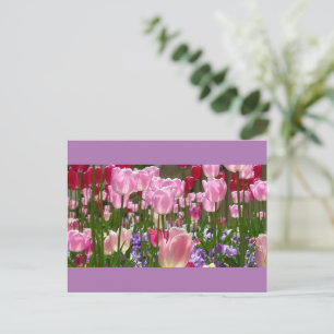 Postal de jardín de tulipanes
