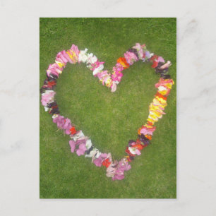 postal de jardinera de flores