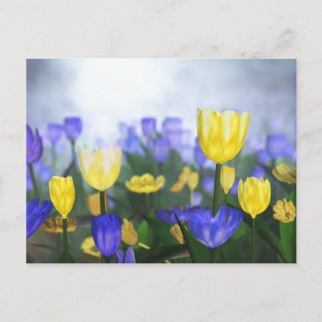 Postal de Jubileo de Oro (Anverso)