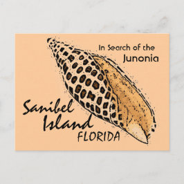 Postal de Junonia shell Sanibel Island humorístico